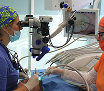 microscopio zeiss